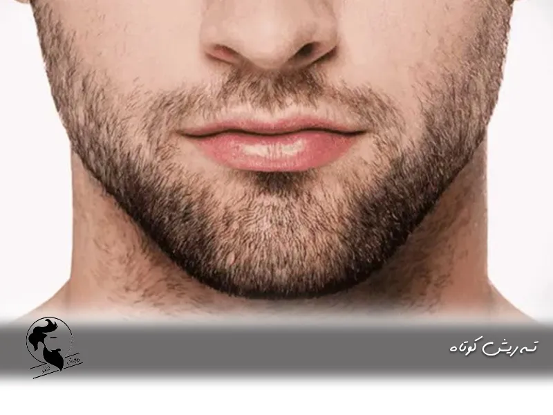 ته ریش کوتاه