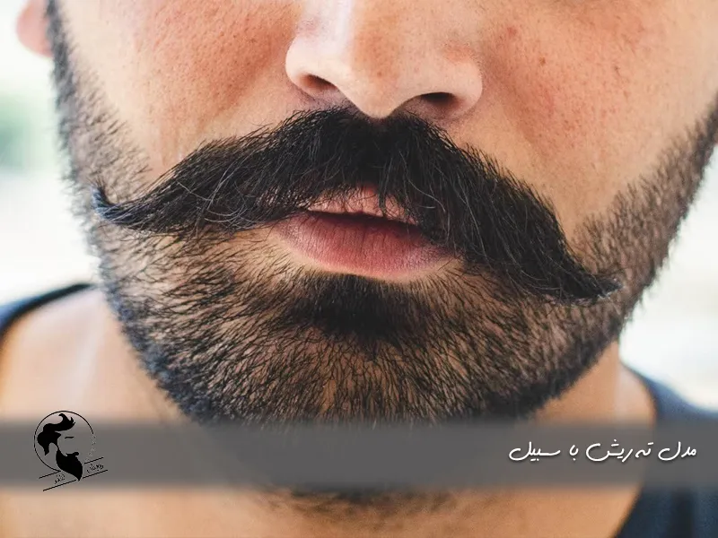 مدل ته ریش با سبیل