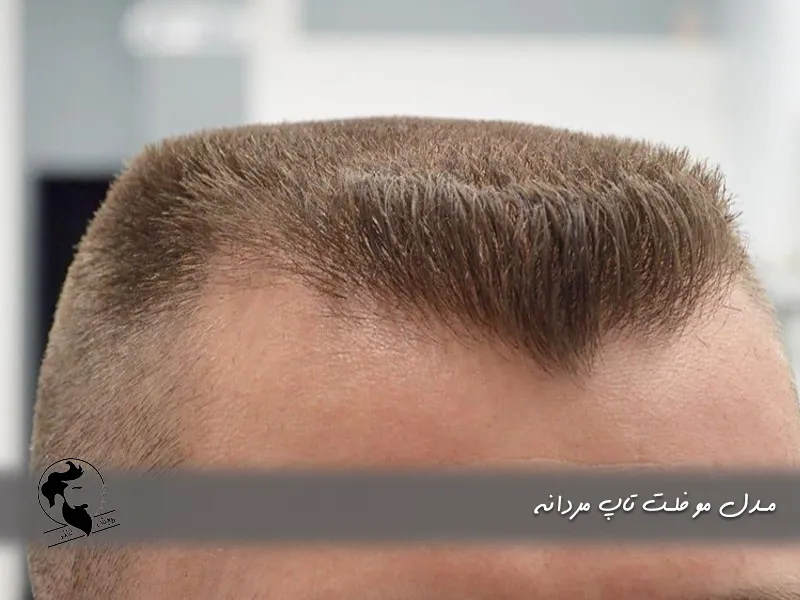 مدل مو فلت تاپ مردانه